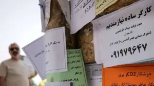چه کسانی مشمول بیمه بیکاری می‌شوند؟ تفاوت استعفا و تعدیل نیرو + راهنمای ثبت در سامانه روابط کار