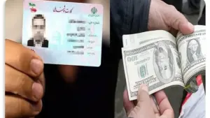 جزئیات خرید ارز دولتی با کارت ملی + سقف خرید و شرایط دریافت